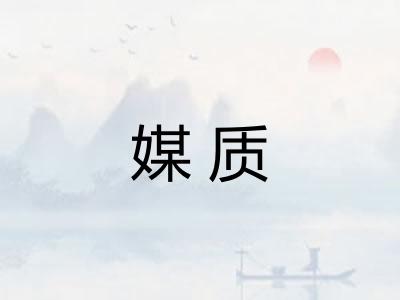 媒质
