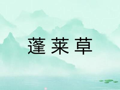 蓬莱草