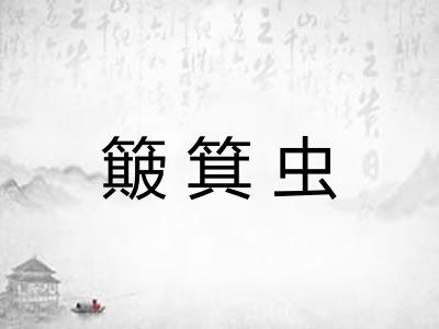 簸箕虫