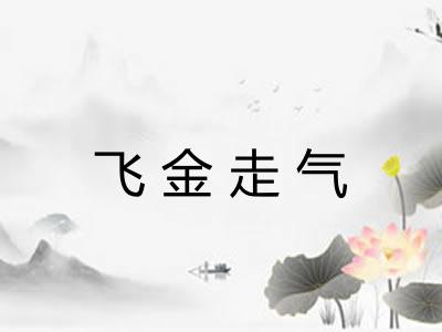 飞金走气