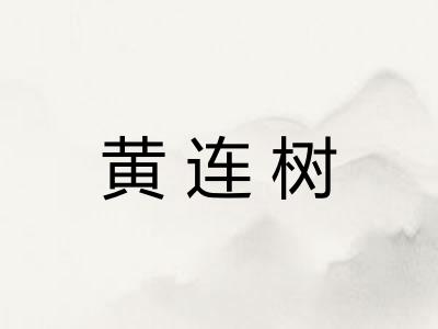 黄连树