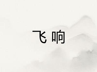 飞响