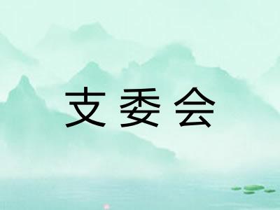 支委会