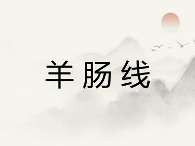 羊肠线