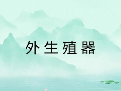 外生殖器