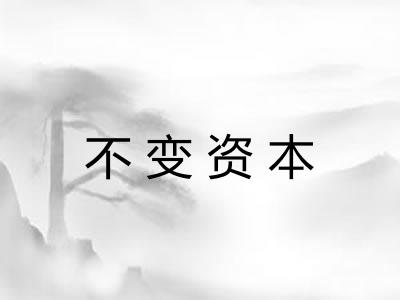 不变资本