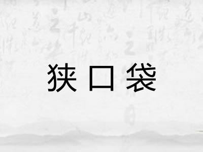 狭口袋