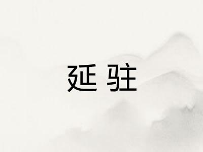 延驻