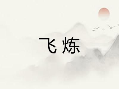 飞炼