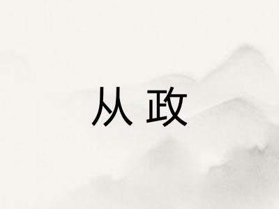 从政