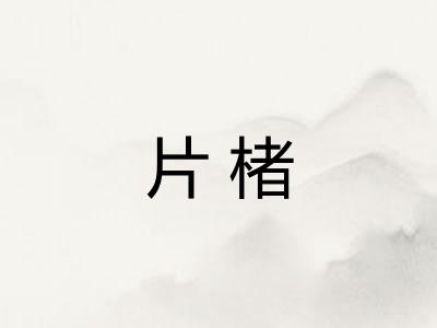片楮
