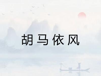 胡马依风
