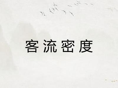 客流密度