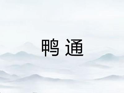 鸭通