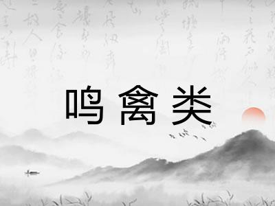 鸣禽类