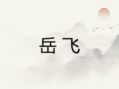 岳飞