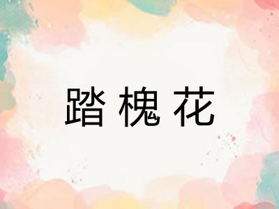 踏槐花