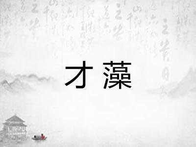 才藻