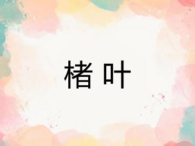 楮叶