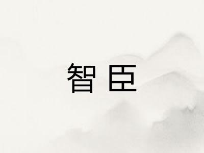 智臣