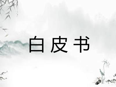 白皮书
