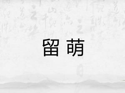 留萌