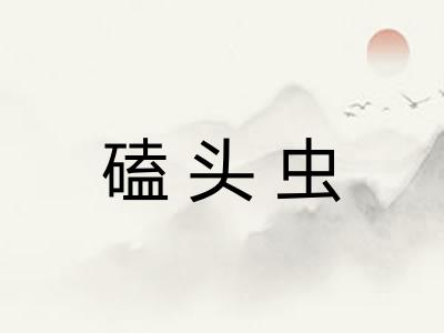 磕头虫