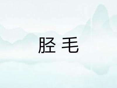 胫毛