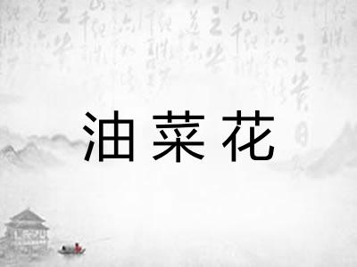 油菜花