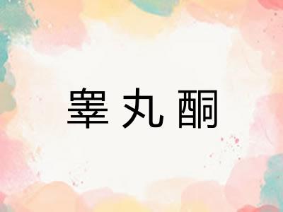 睾丸酮