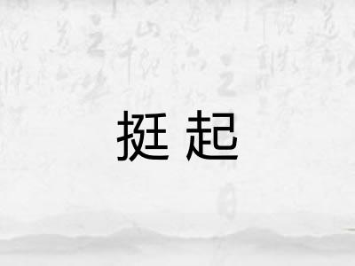 挺起