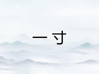 一寸