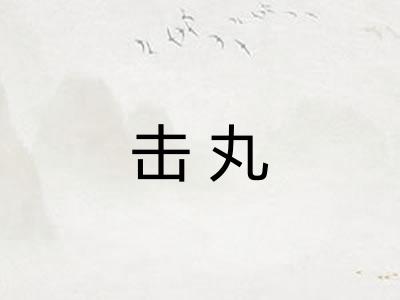 击丸