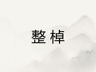 整棹
