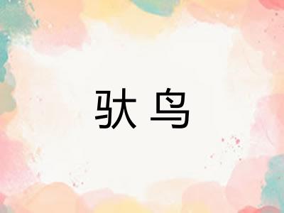 驮鸟