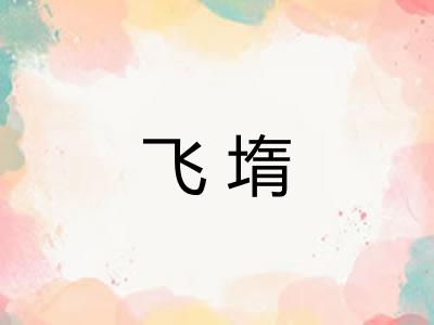 飞堶