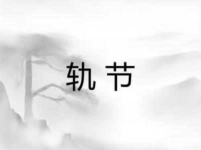 轨节