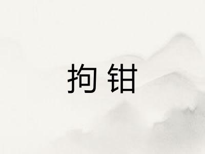 拘钳