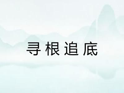 寻根追底