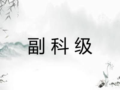 副科级
