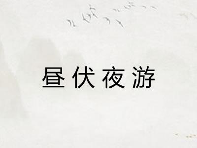 昼伏夜游