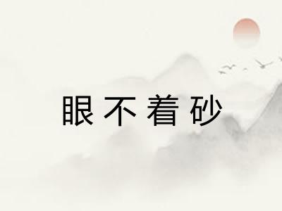 眼不着砂