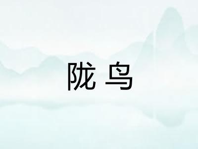 陇鸟
