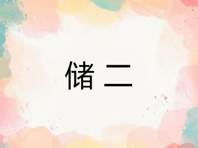 储二
