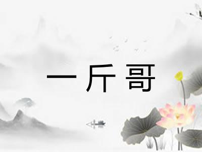 一斤哥