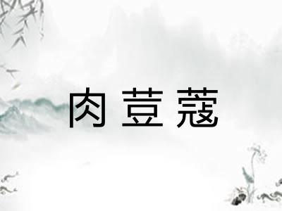 肉荳蔻