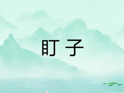 盯子