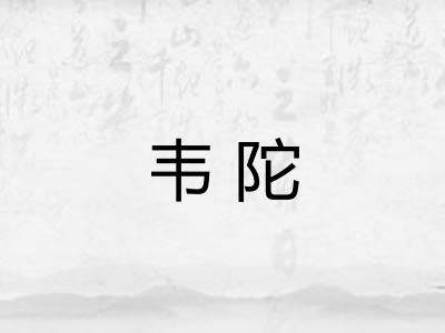 韦陀