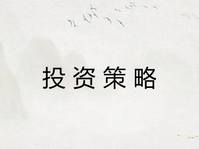 投资策略