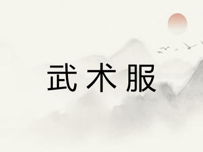武术服